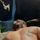 VincePrince3