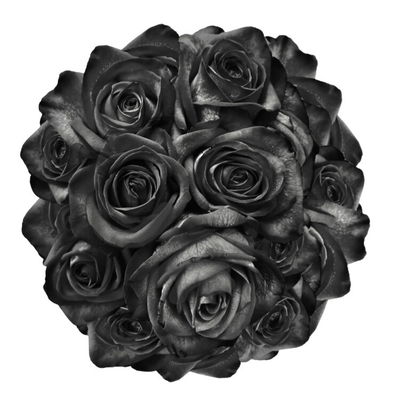 Noirroses
