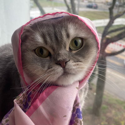 Leamalina