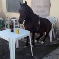 Karapar12