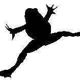 LeapingFrog